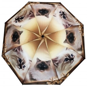 Красивый зонт с котоми Baolizi, полуавтомат, арт. 3024В-2